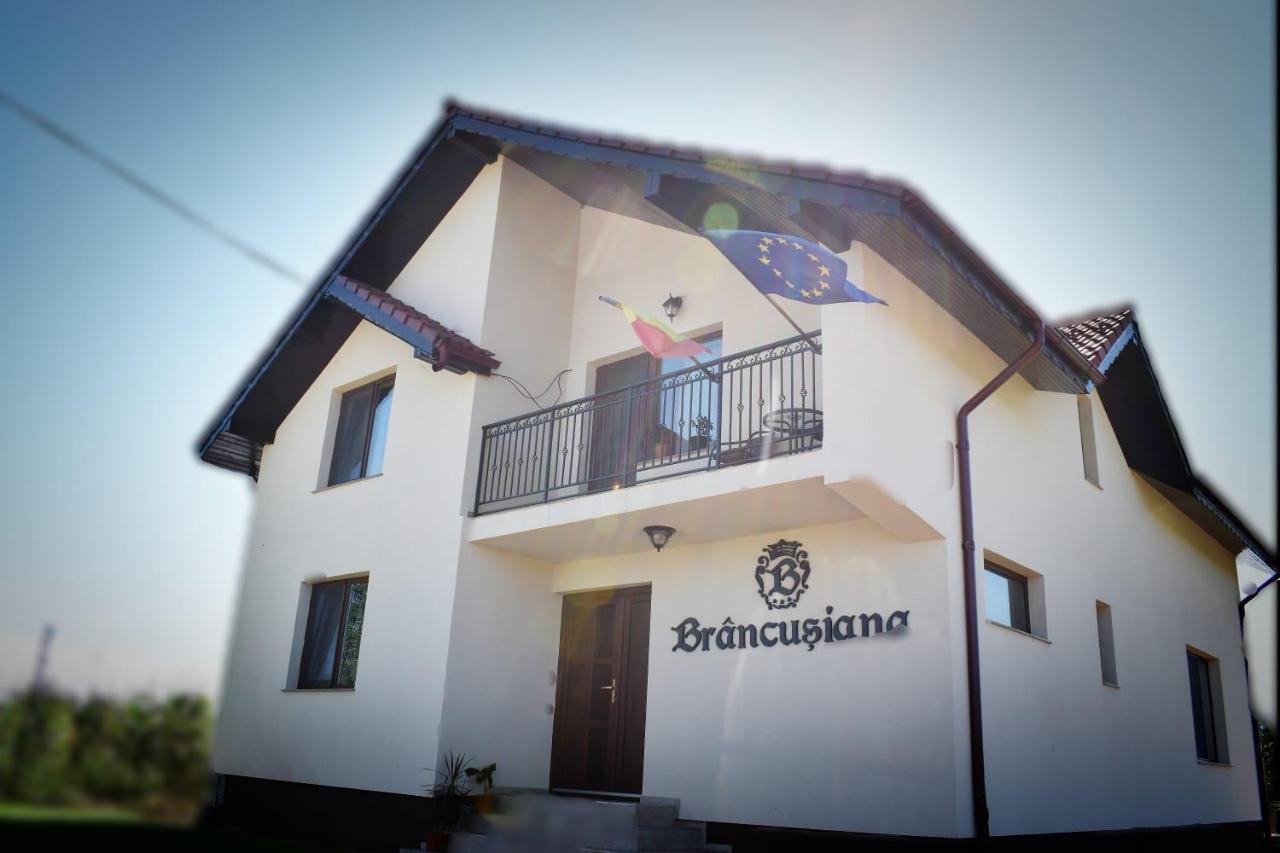 Casa Brancusiana Apartman Zsilvásárhely Kültér fotó